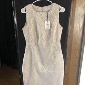 Calvin Klein sleeveless business dress